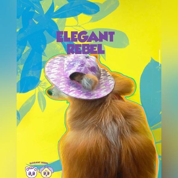 Pets hat fit cat and dog - Picture 3 of 3